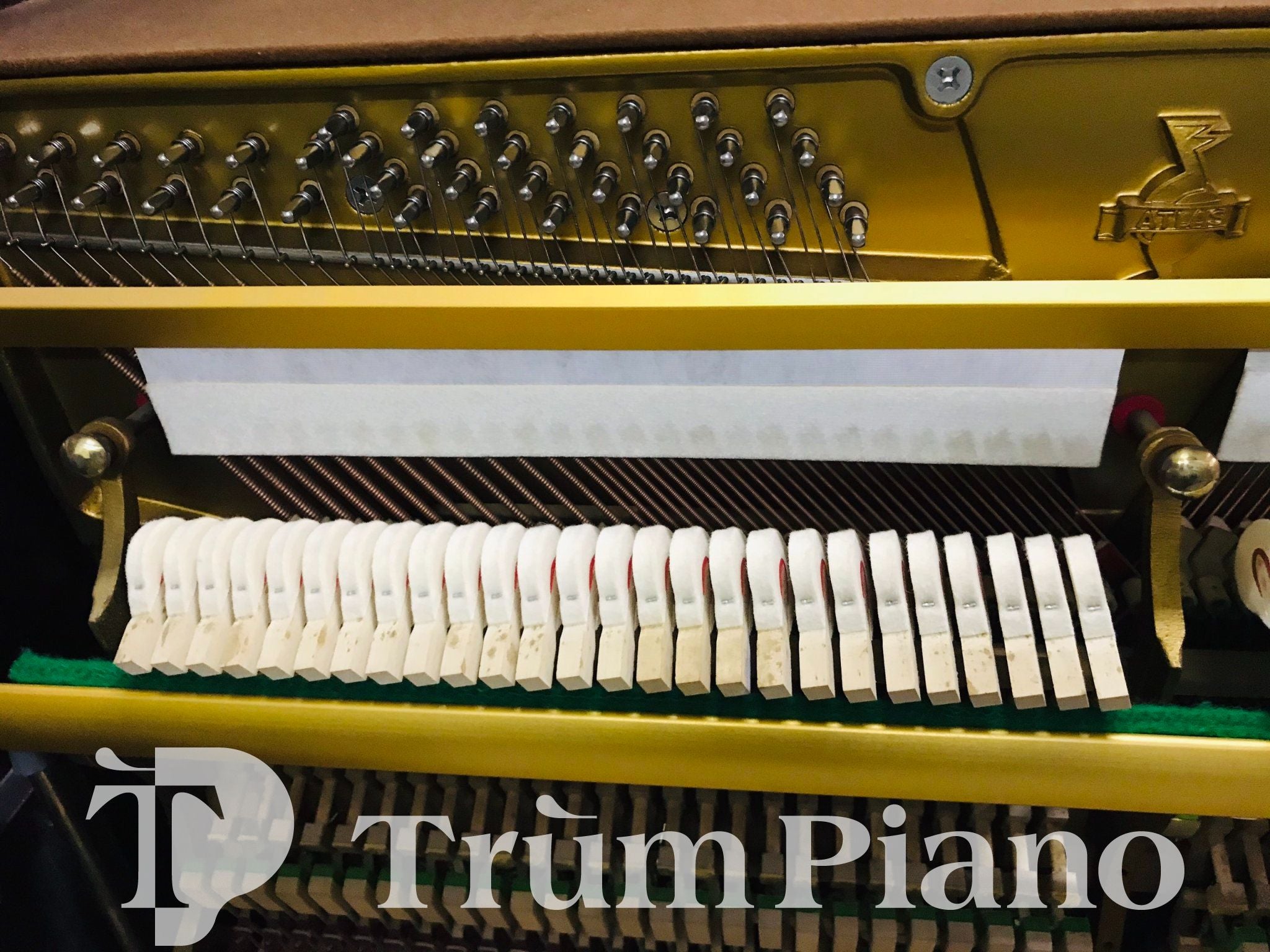 Đàn Piano ATLAS NA7B