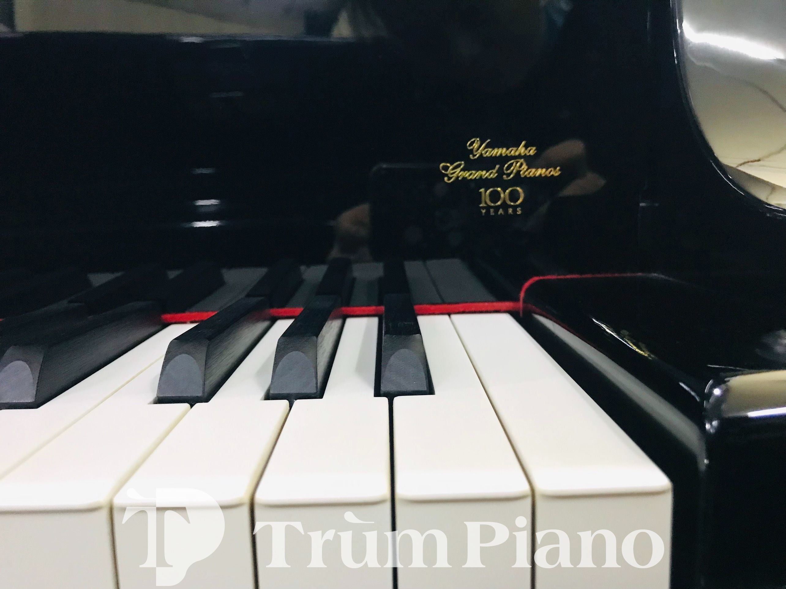 Đàn Piano YAMAHA C3AE
