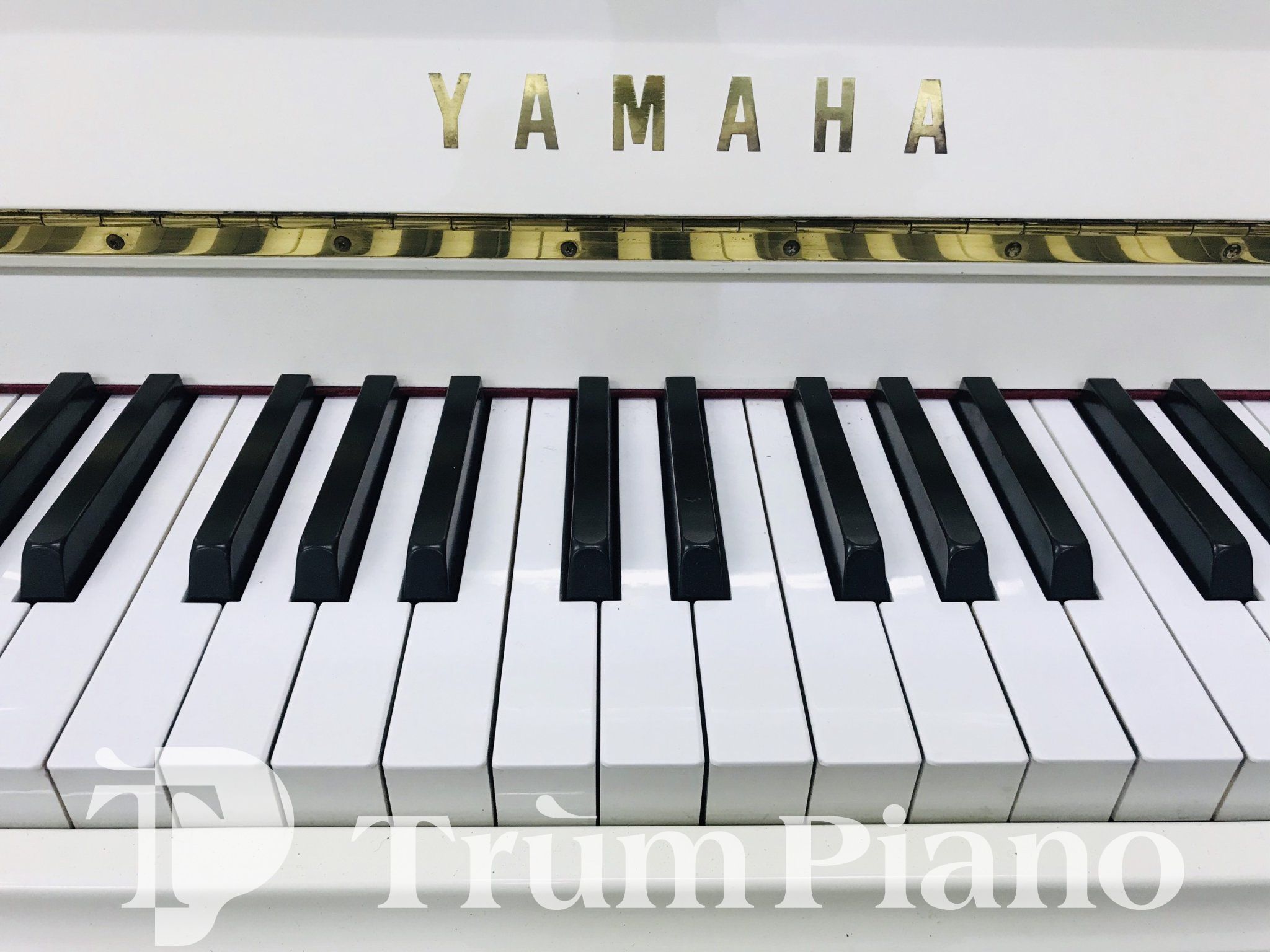 Đàn piano Yamaha W116HC