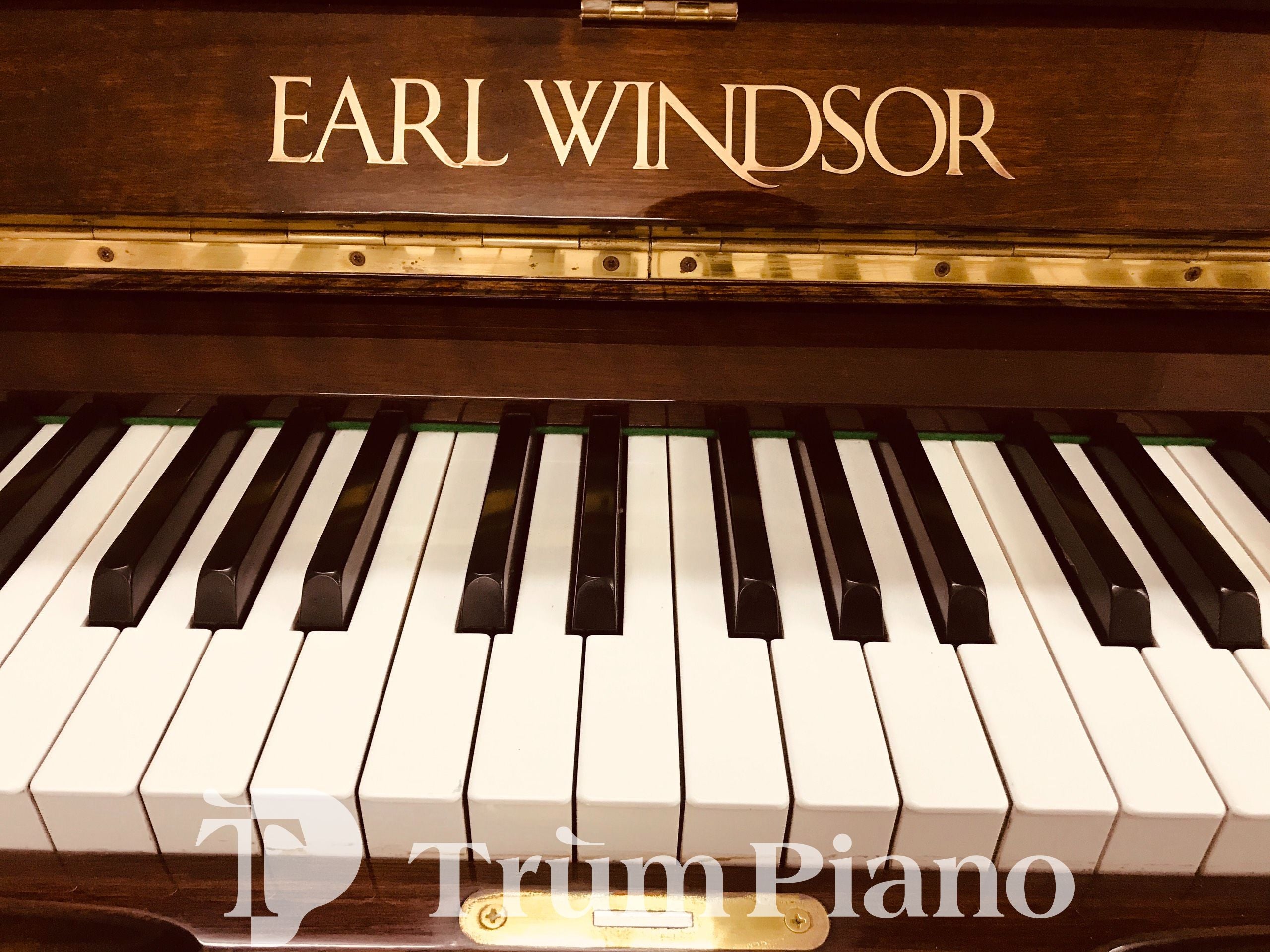 Đàn Piano Earl Windsor W113W