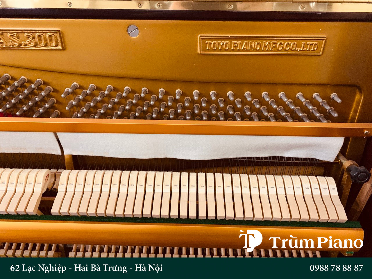 Đàn Piano Apollo AS300