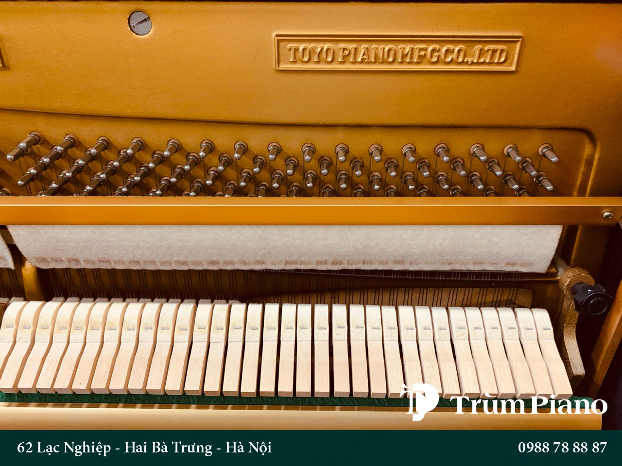 Đàn Piano Apollo RS530