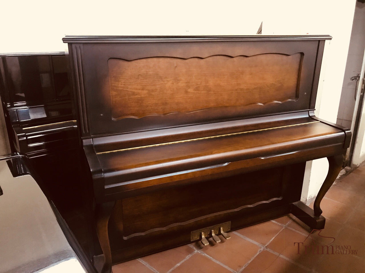 Đàn Piano Rolex RX230
