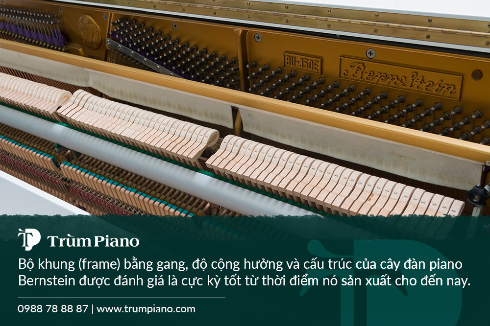 Đàn Piano Bernstein BU350E