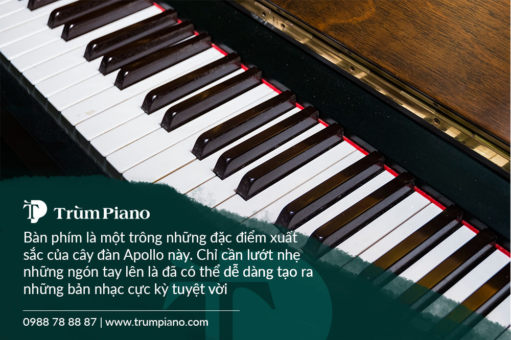 Đàn Piano Apollo RU385W