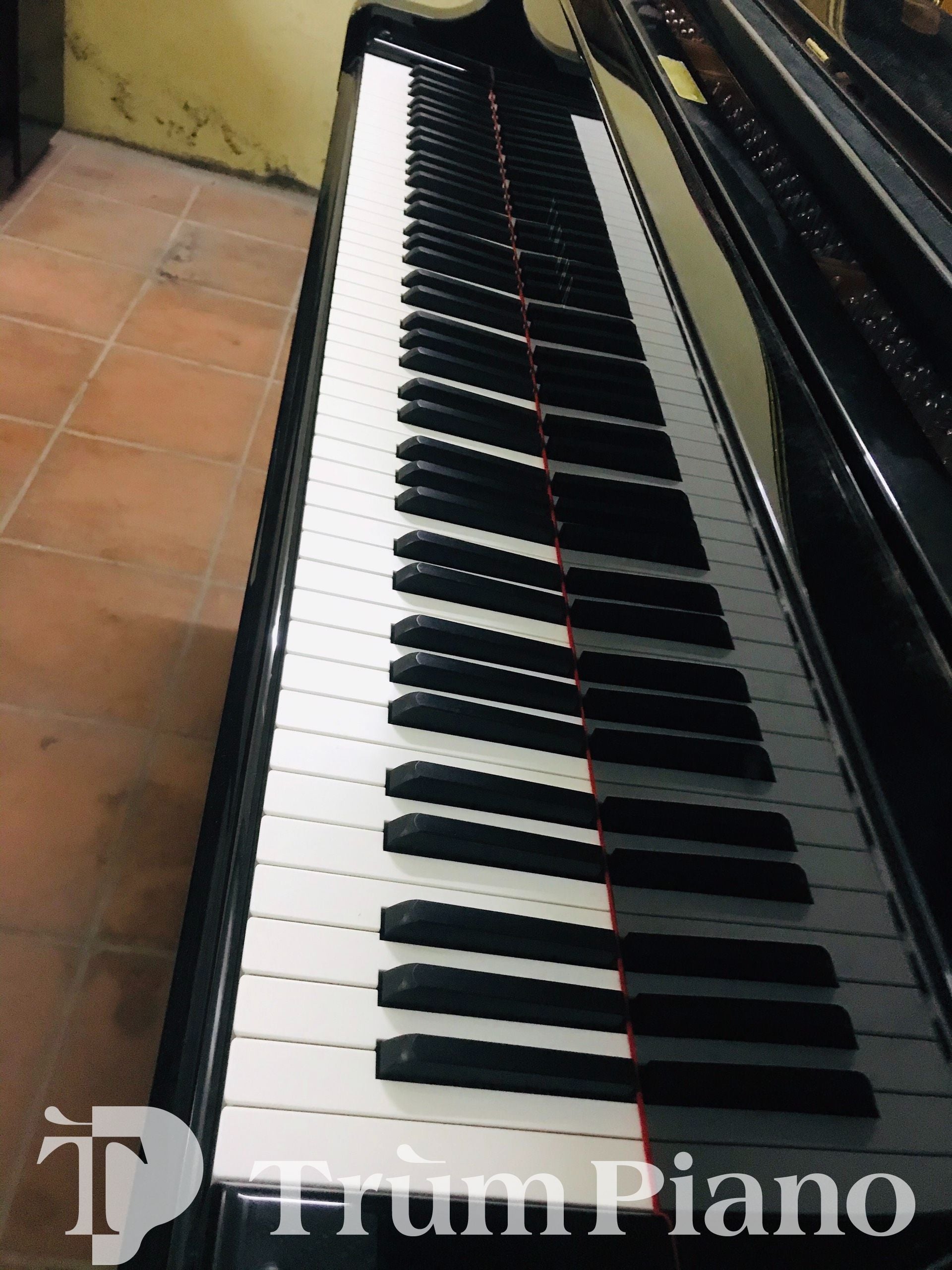 Đàn piano Yamaha C3LA
