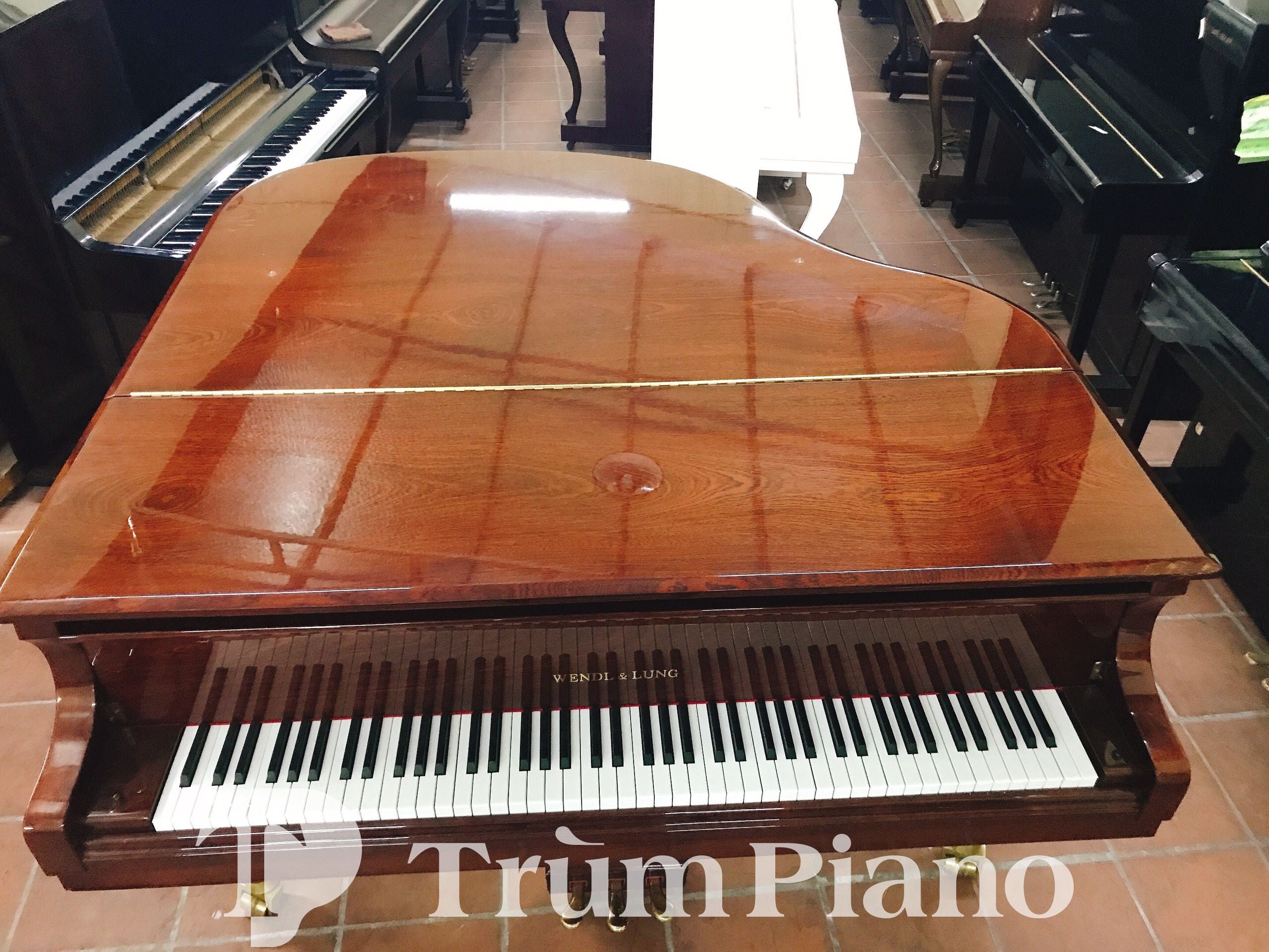 Đàn piano WENDL&LUNG G151W