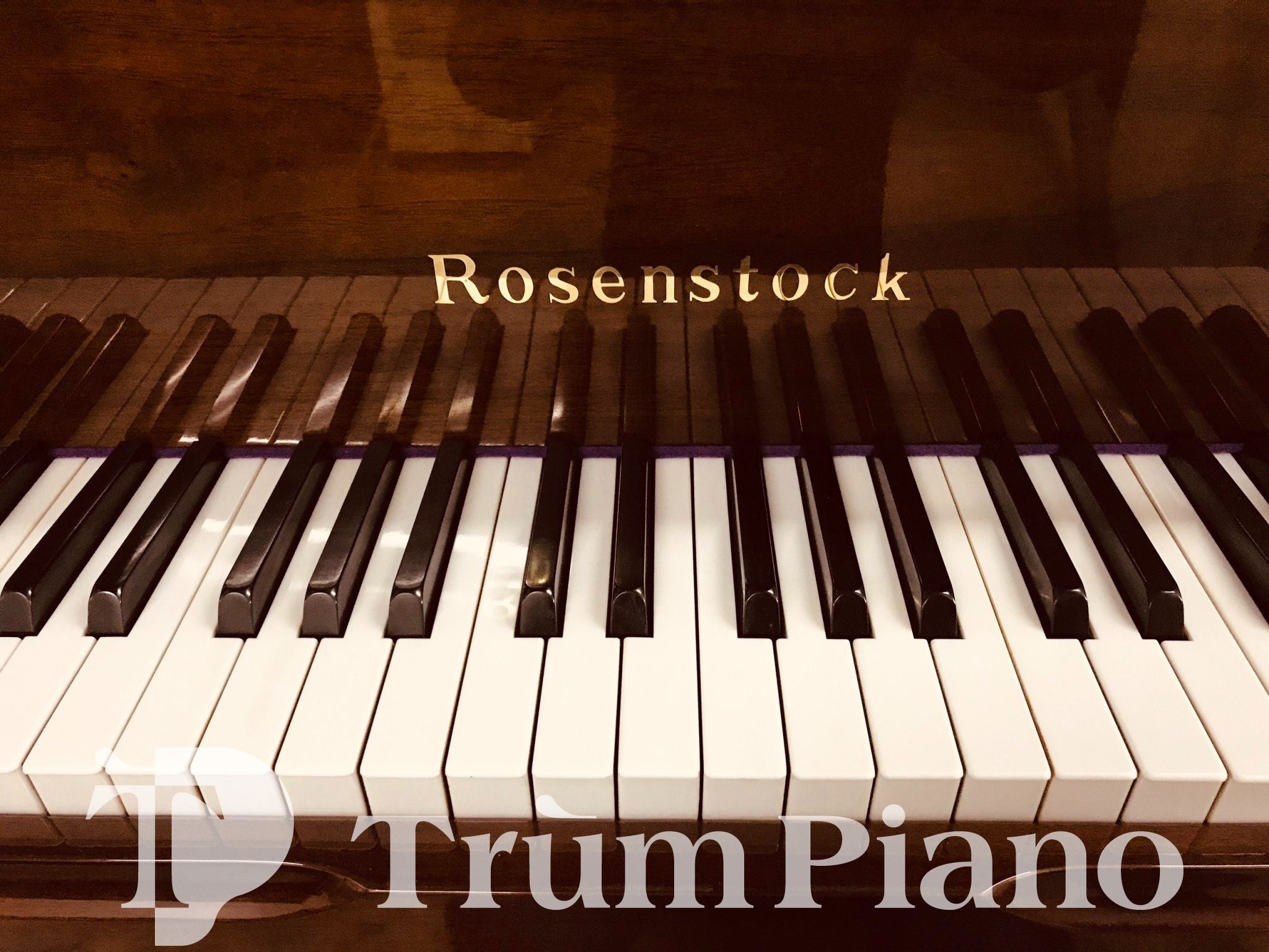 Đàn Piano Rosenstock RS-303CW