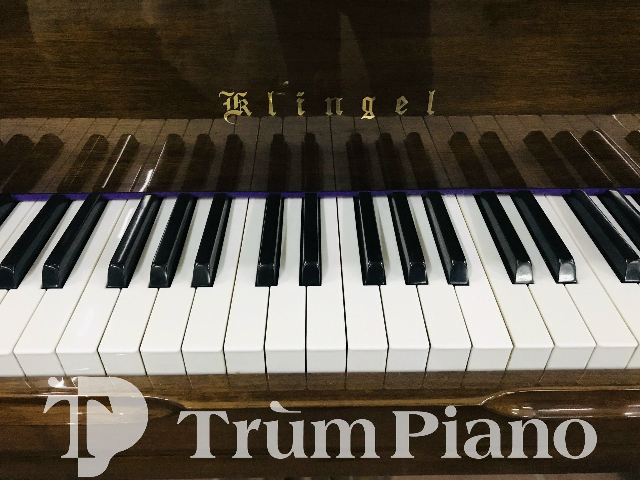 Đàn Piano KLINGEL KU505C