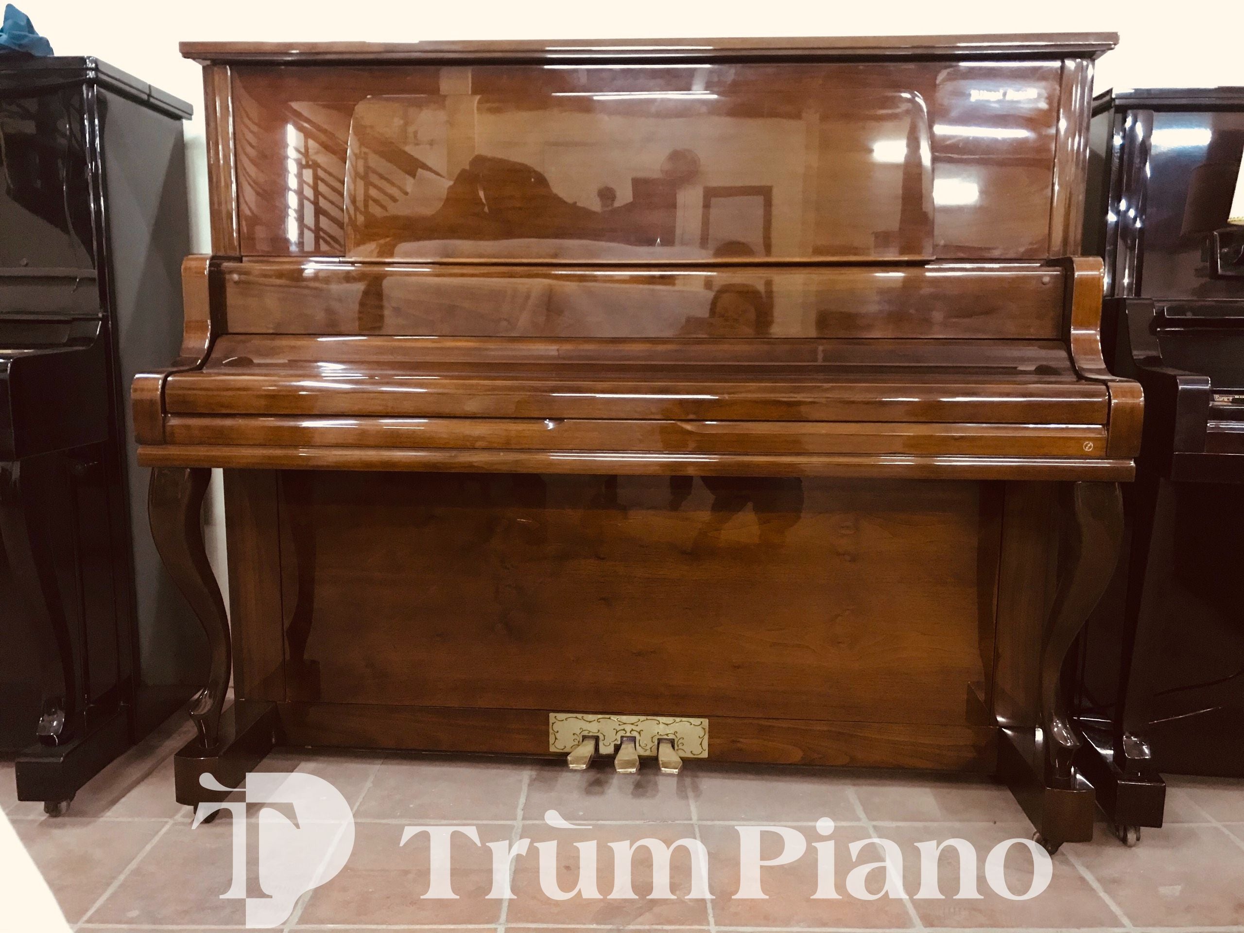 Đàn Piano KLINGEL KU505C