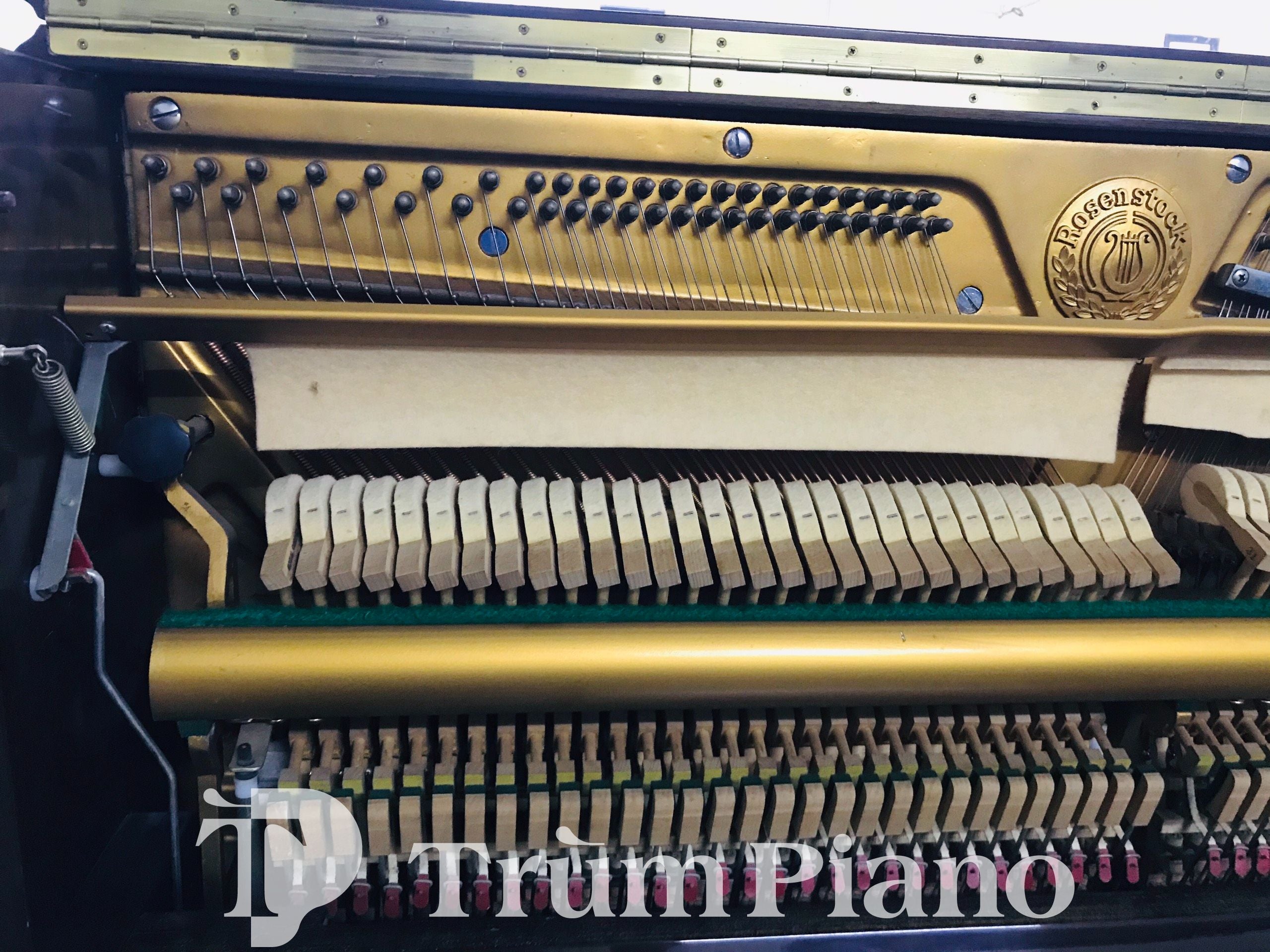 Đàn Piano Rosenstock RS202CM