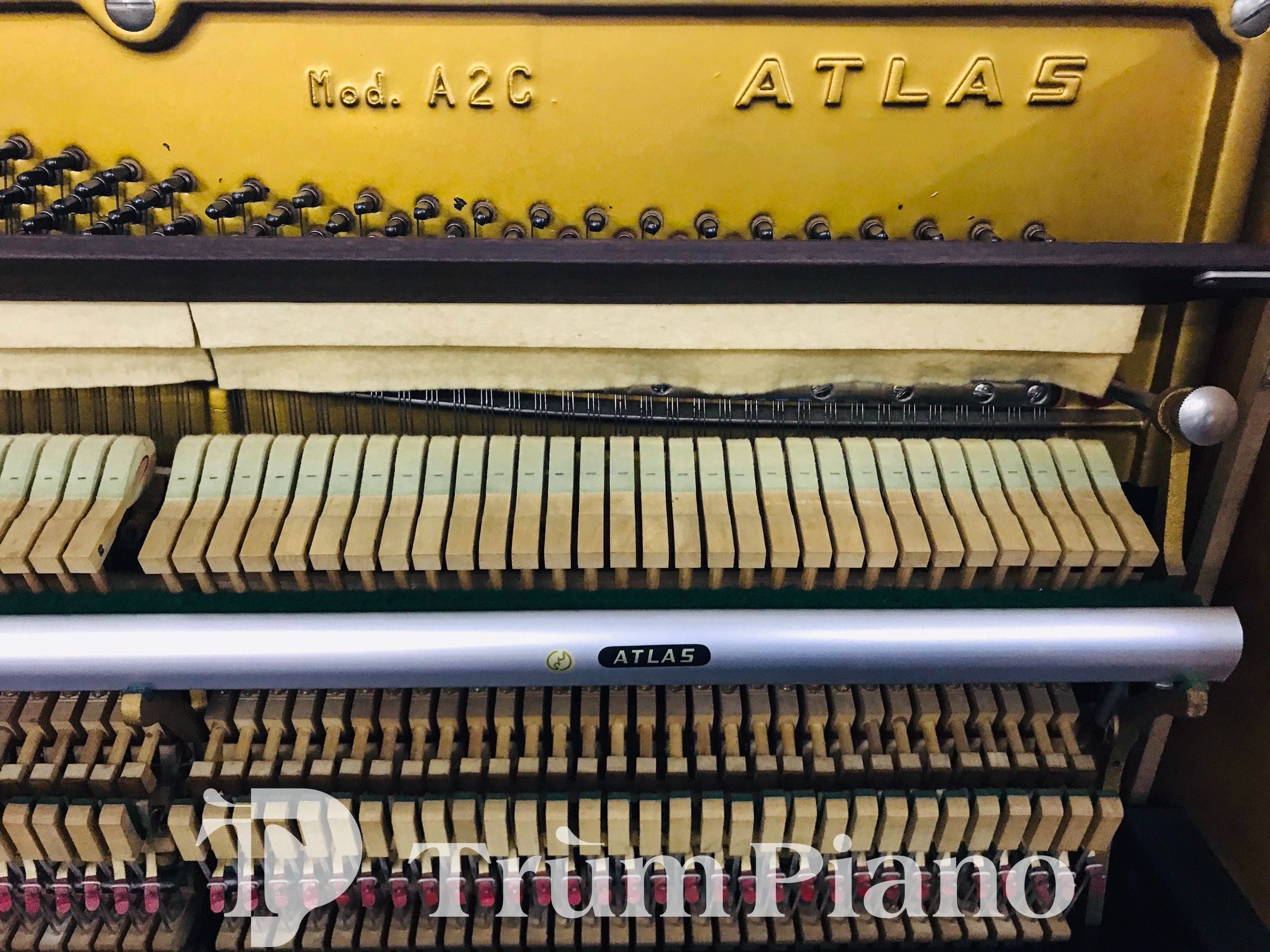 Đàn Piano Atlas A2C