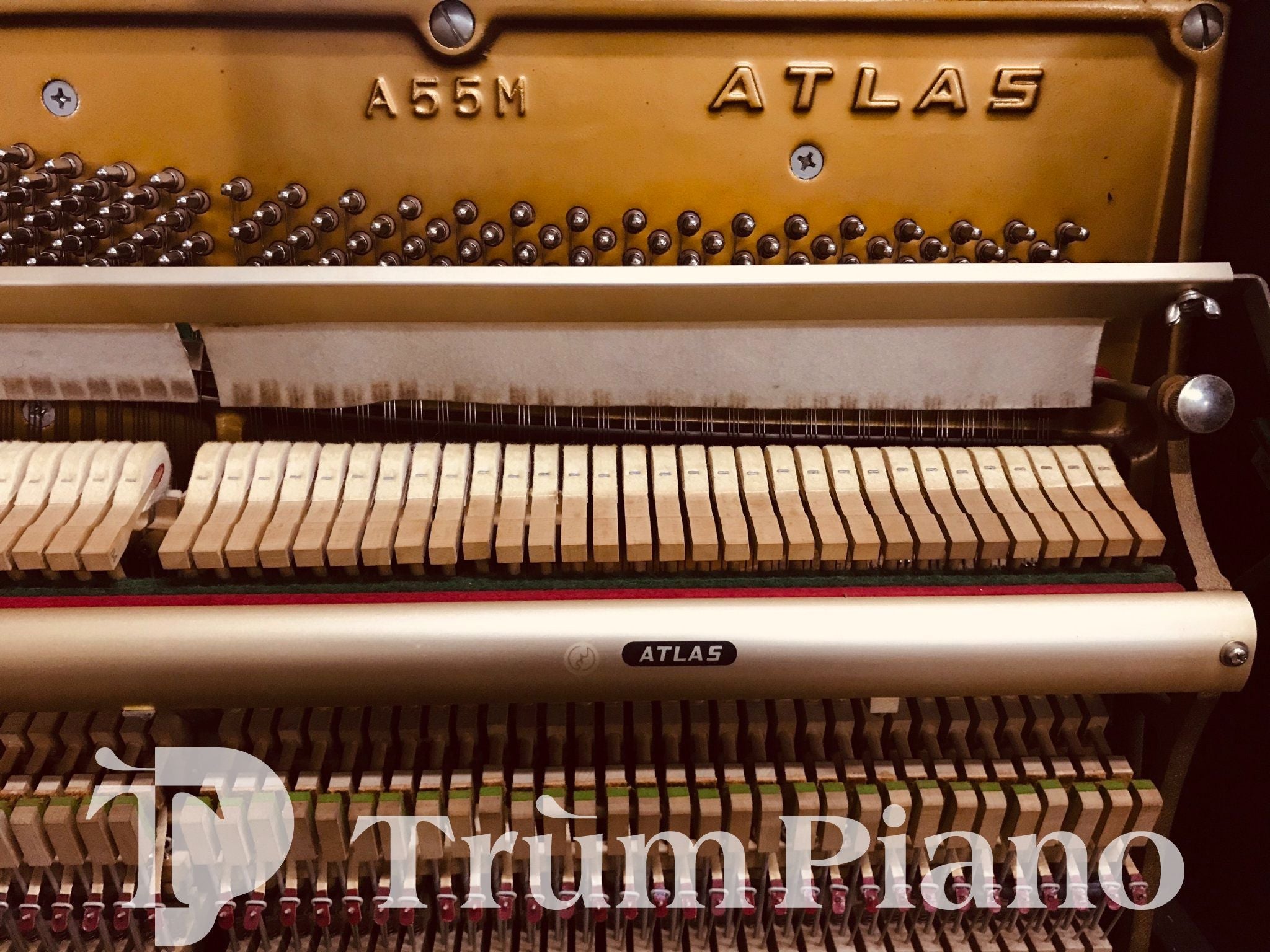 Đàn Piano Atlas A55M
