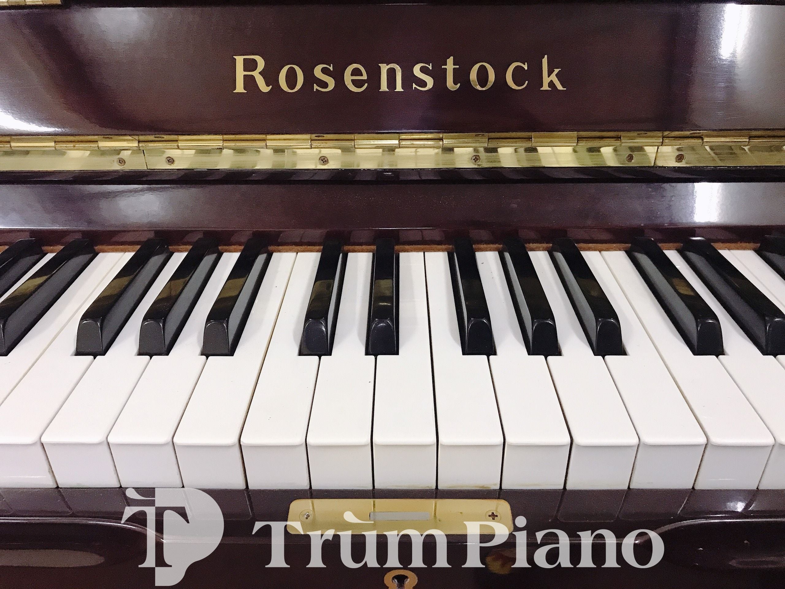Đàn Piano ROSENSTOCK R202