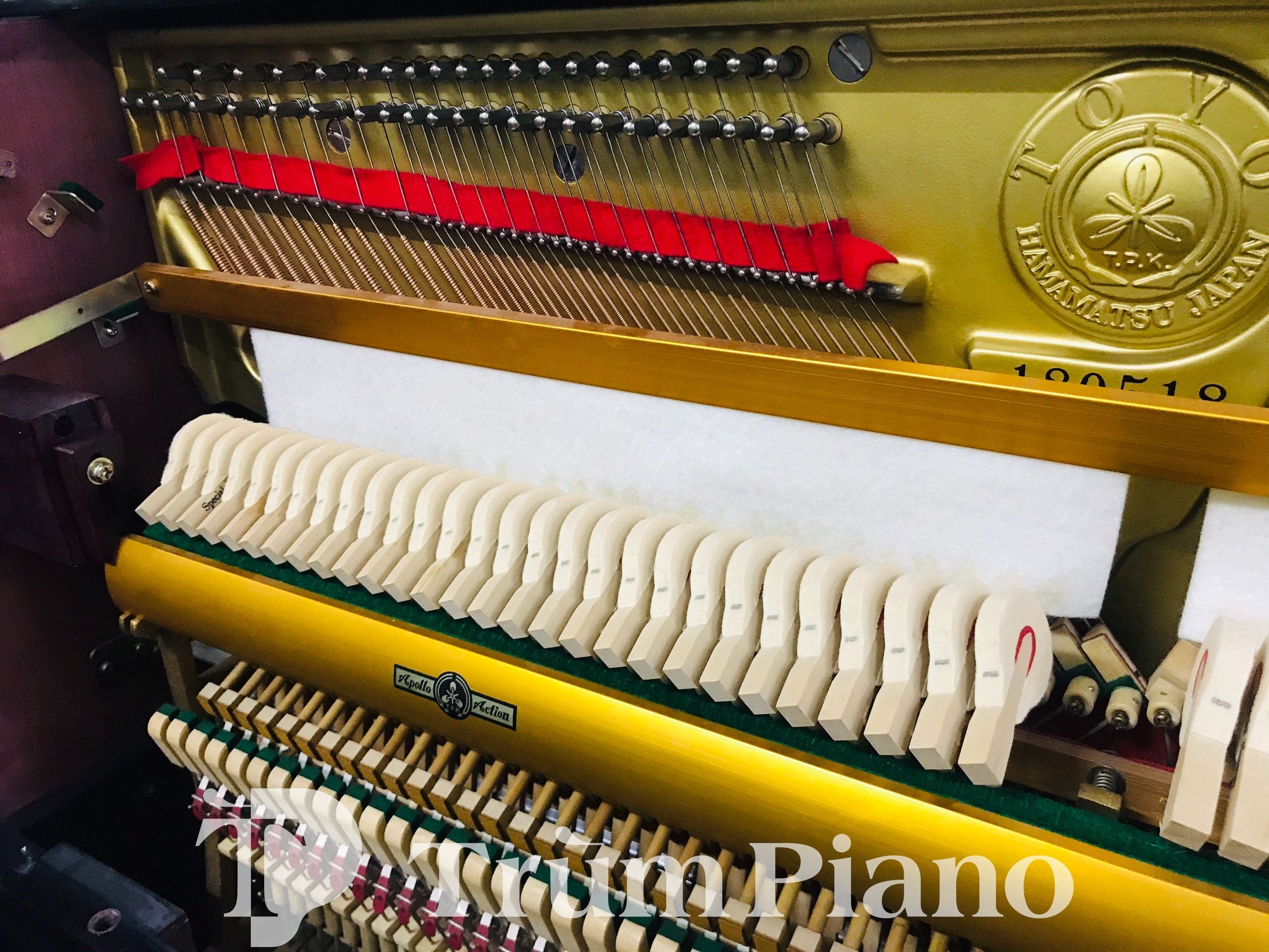 Đàn Piano APOLLO SR65DMAP