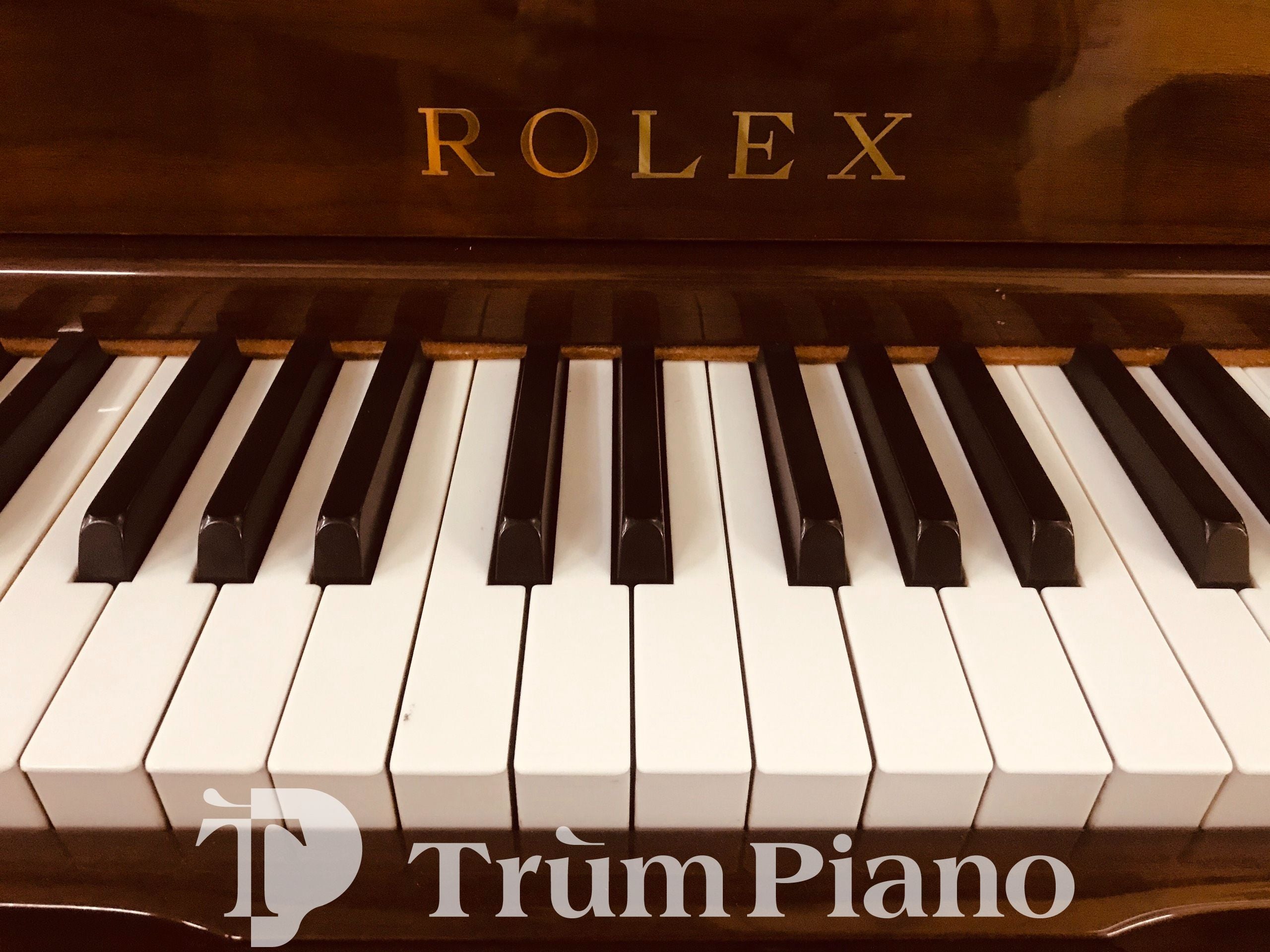 Đàn Piano ROLEX RX300DW