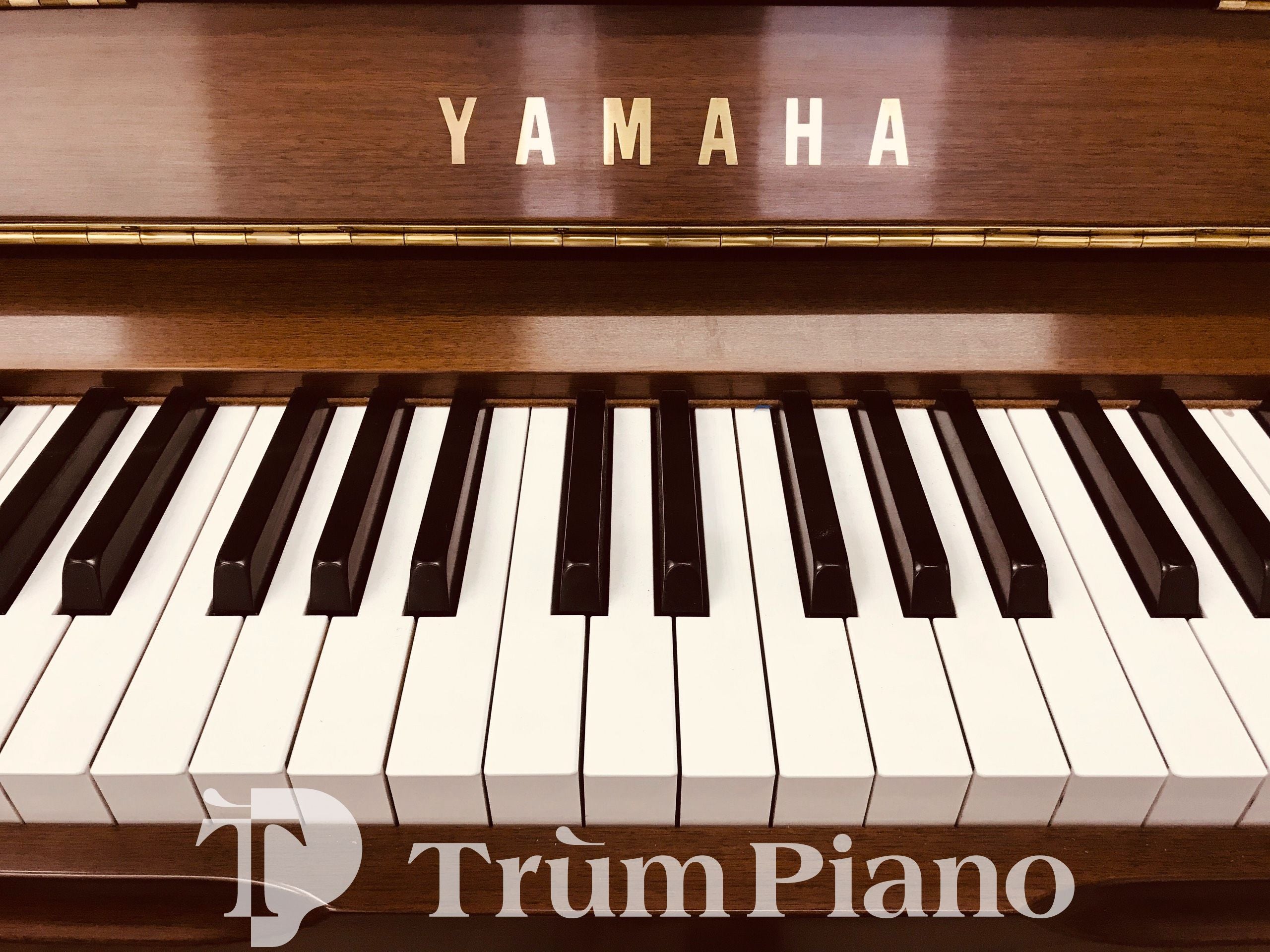 Đàn piano Yamaha YU3WN