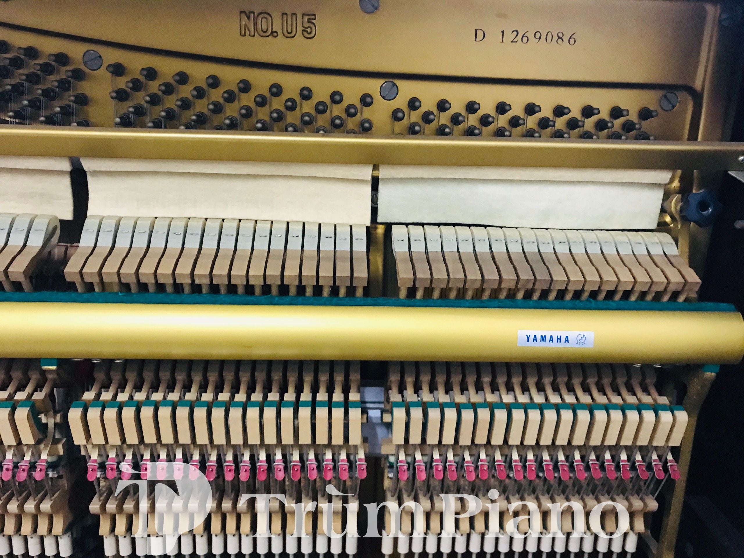 Đàn Piano Yamaha U5D