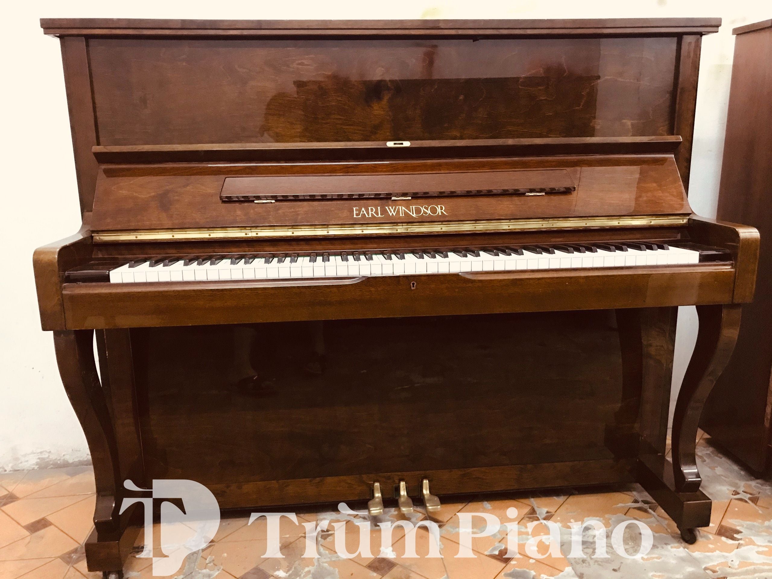Đàn Piano Earl Windsor W113W