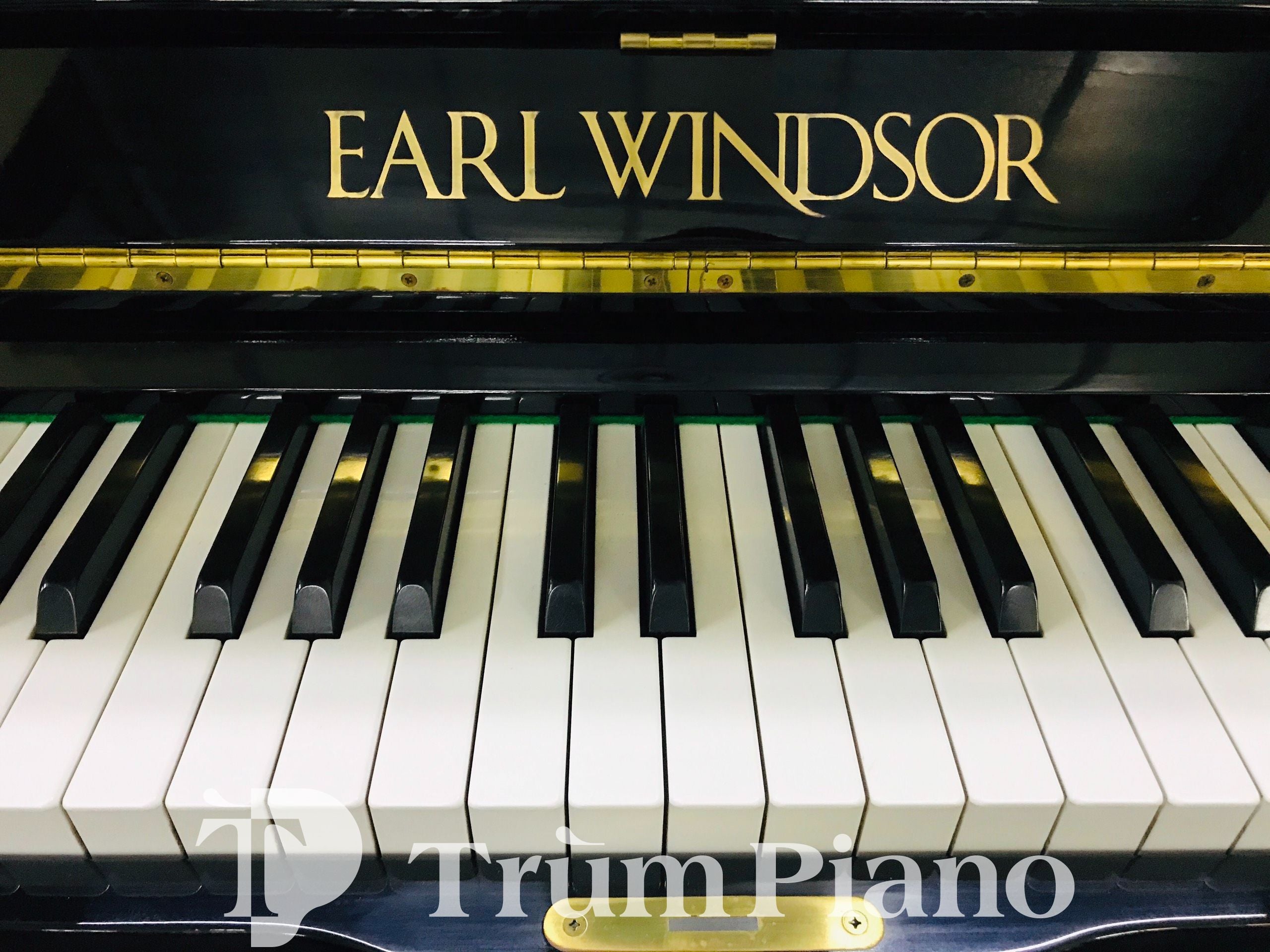 Đàn Piano Earl Windsor W114