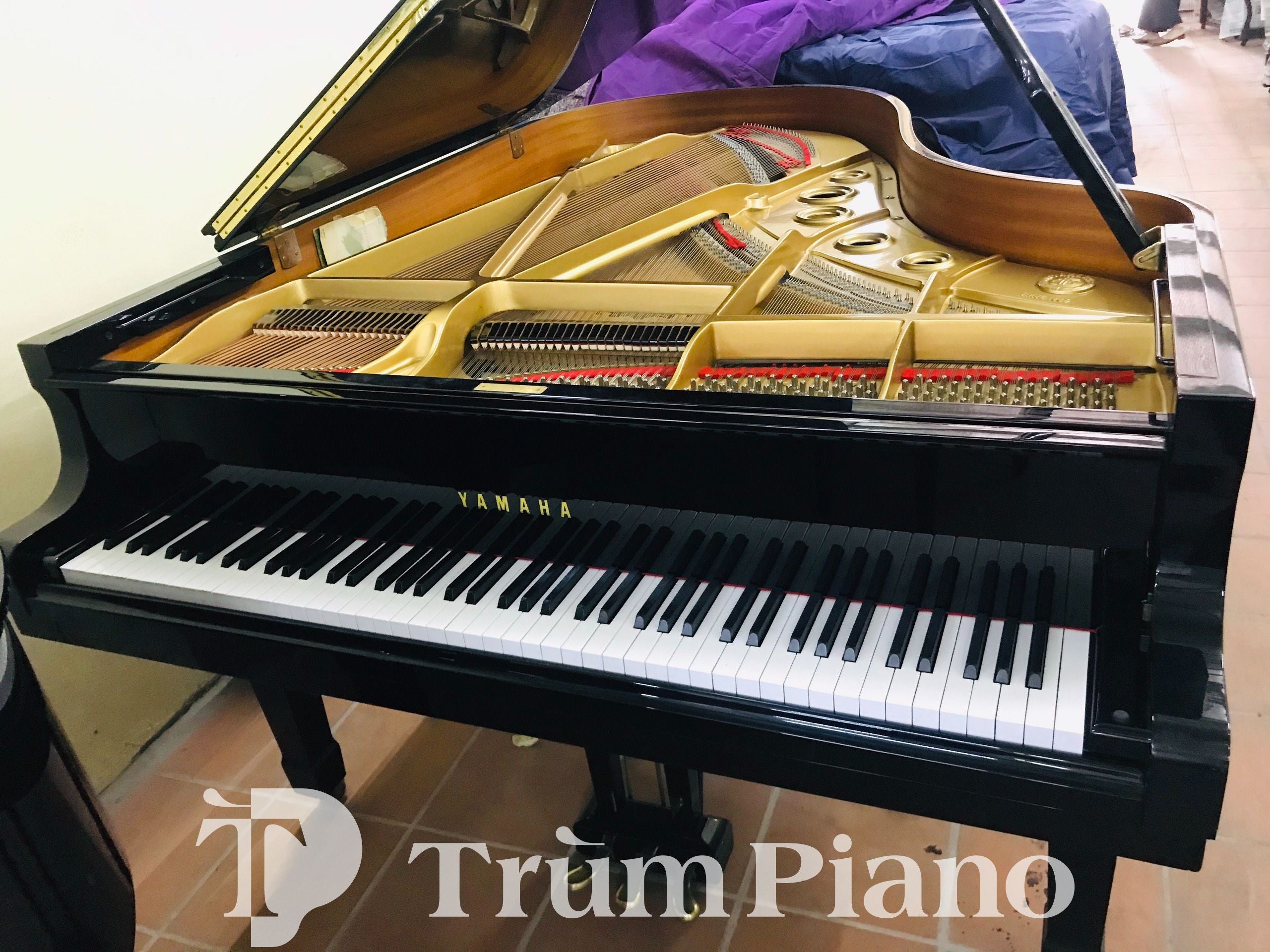 Đàn piano Yamaha C5B