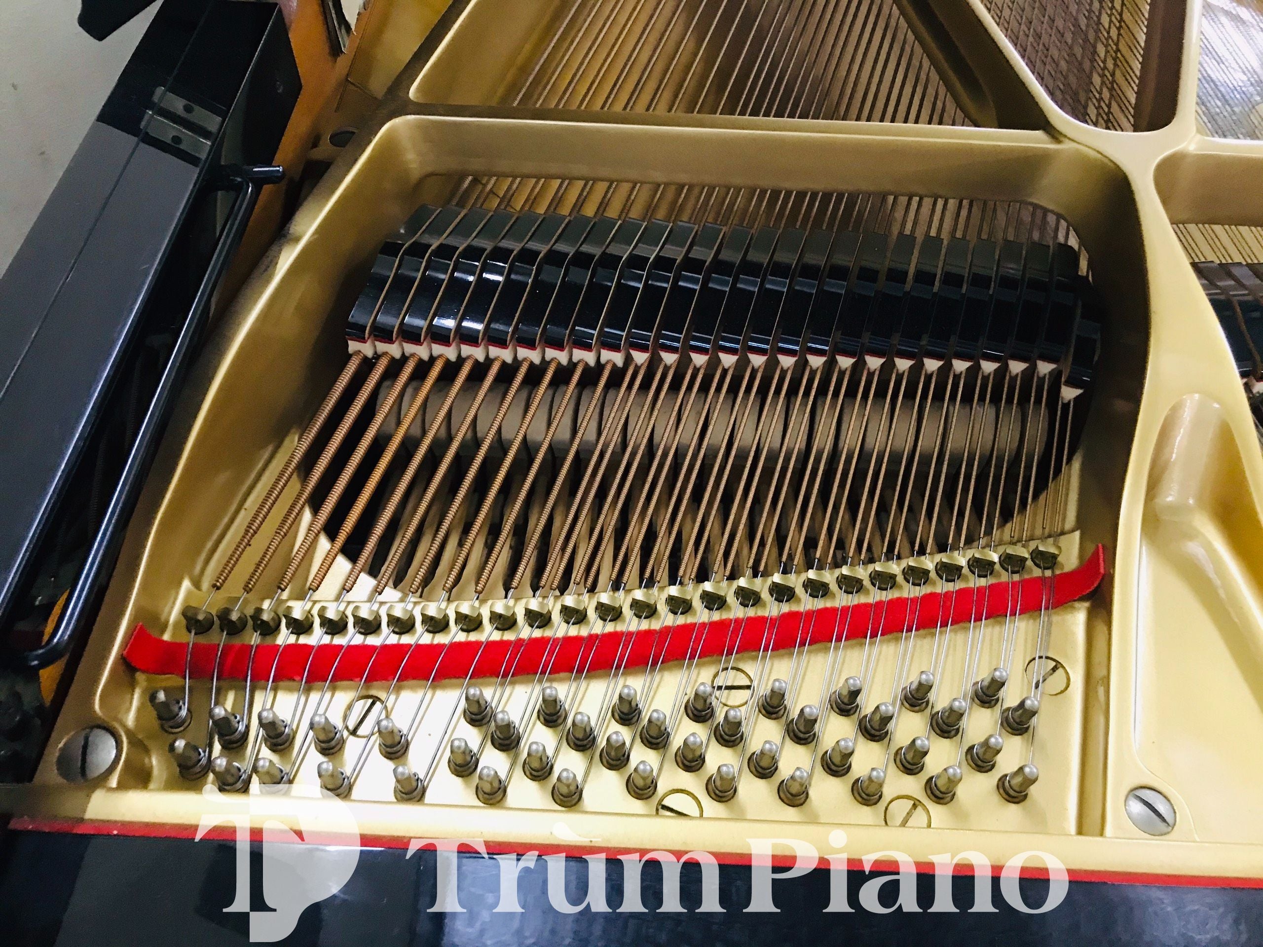 Đàn piano Yamaha C5B