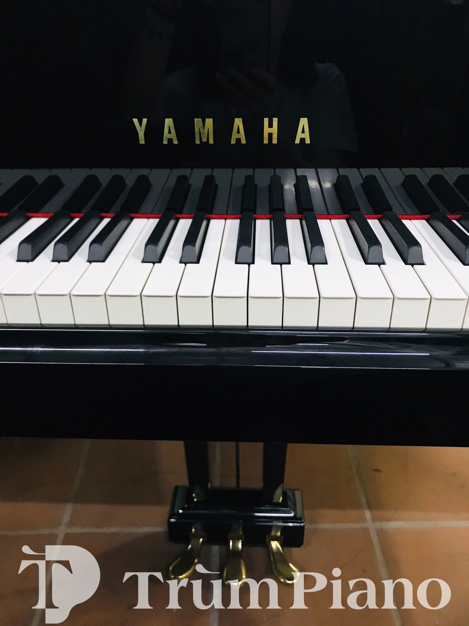 Đàn Piano Yamaha C6L