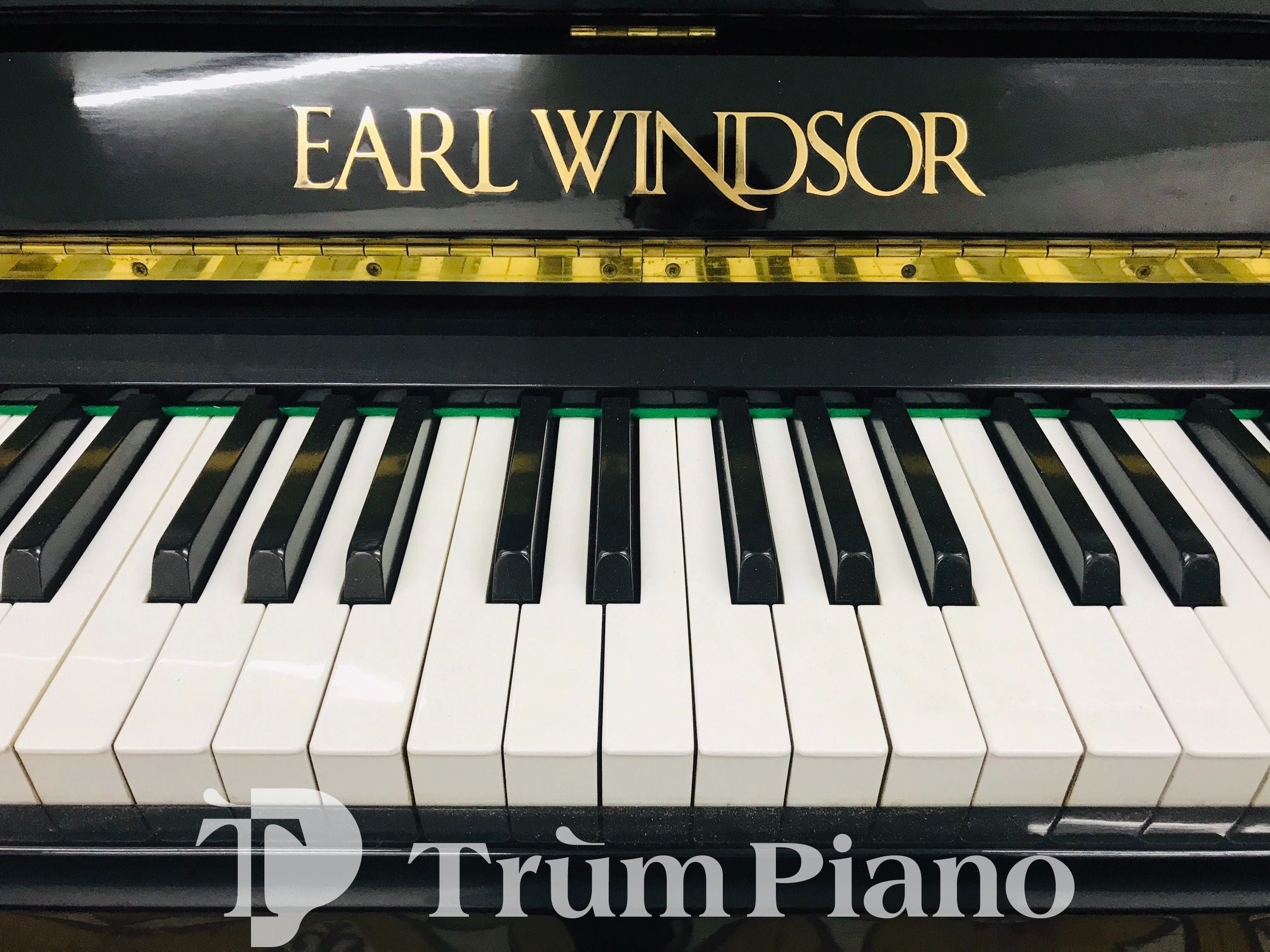 Đàn Piano Earl Windsor W112