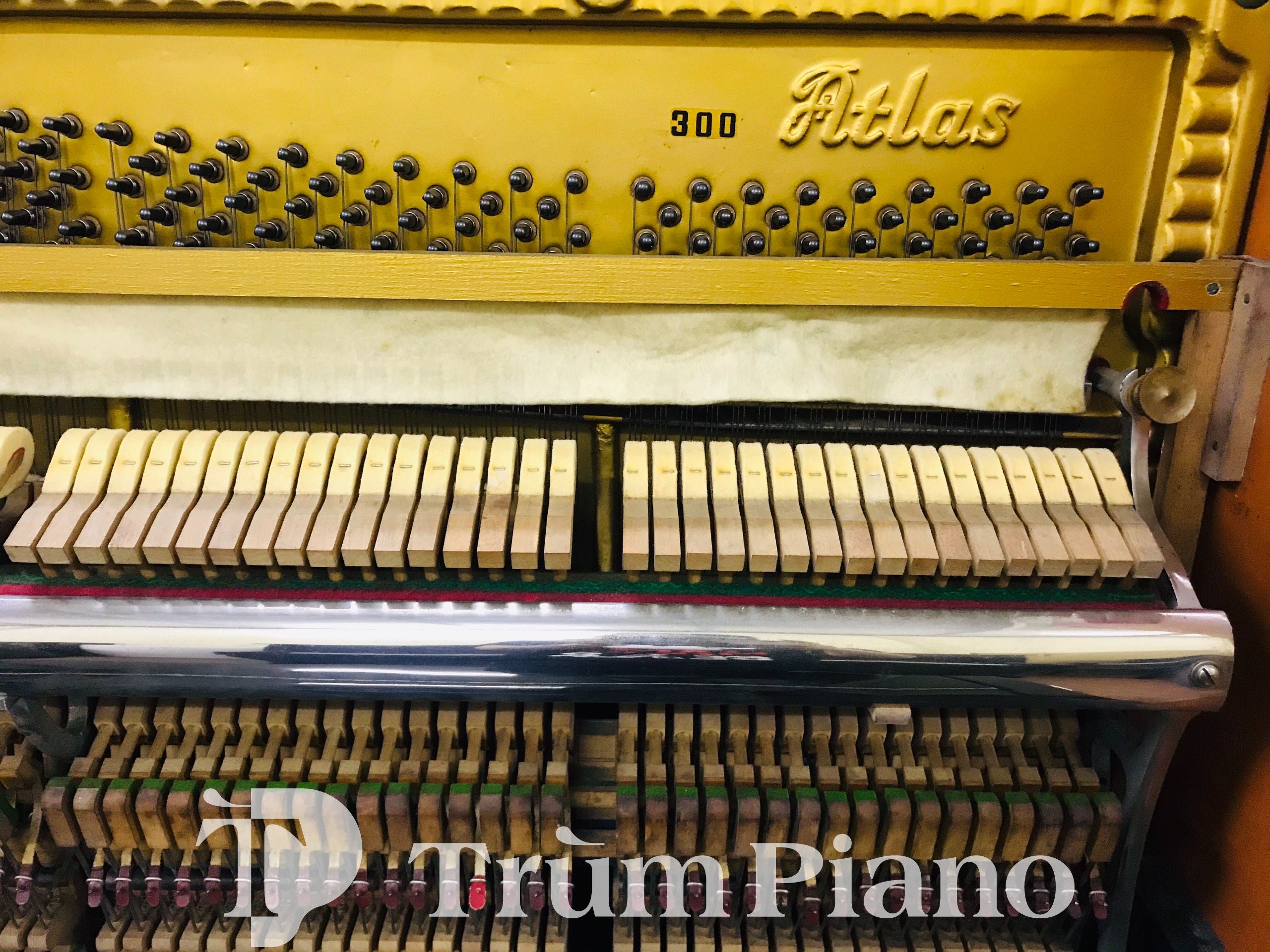 Đàn Piano Atlas 300