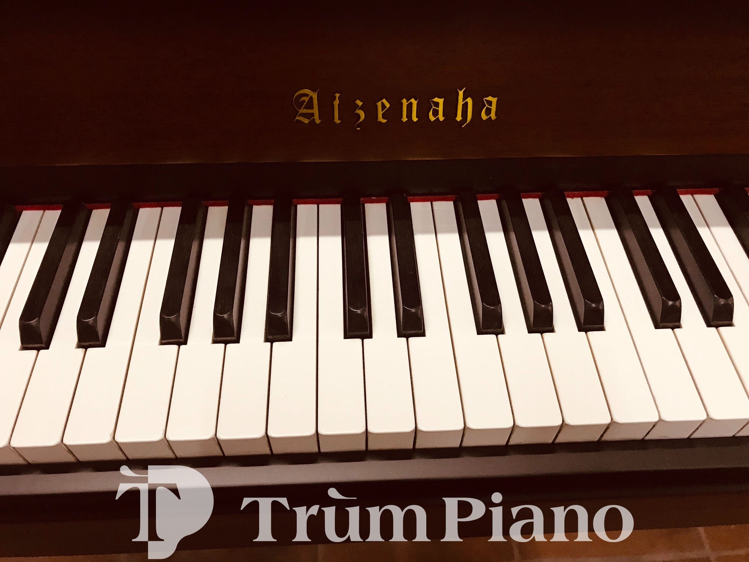 Đàn Piano Aizenaha W70TS