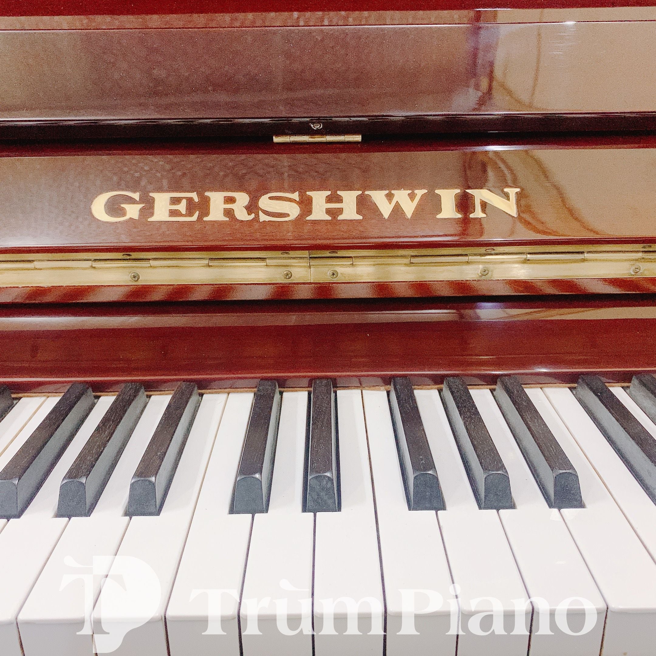 Đàn Piano Gershwin G1000